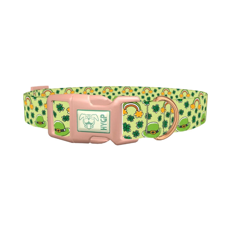 Leprechaun Hat and Clover Dog Collar - plastic rose gold
