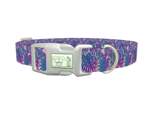 Tropical Leaf Dog Collar