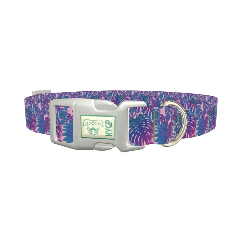 Tropical Leaf Dog Collar - plastic silver