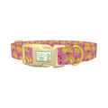 Banana Cherry Dog Collar - plastic gold