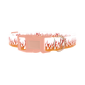 Red Flame Dog Collar - plastic rose gold