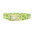Green Apple Dog Collar - plastic gold
