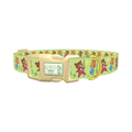 Dancing Teddy Bear Dog Collar - plastic gold