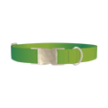 Green Gradient Dog Collar - metal silver