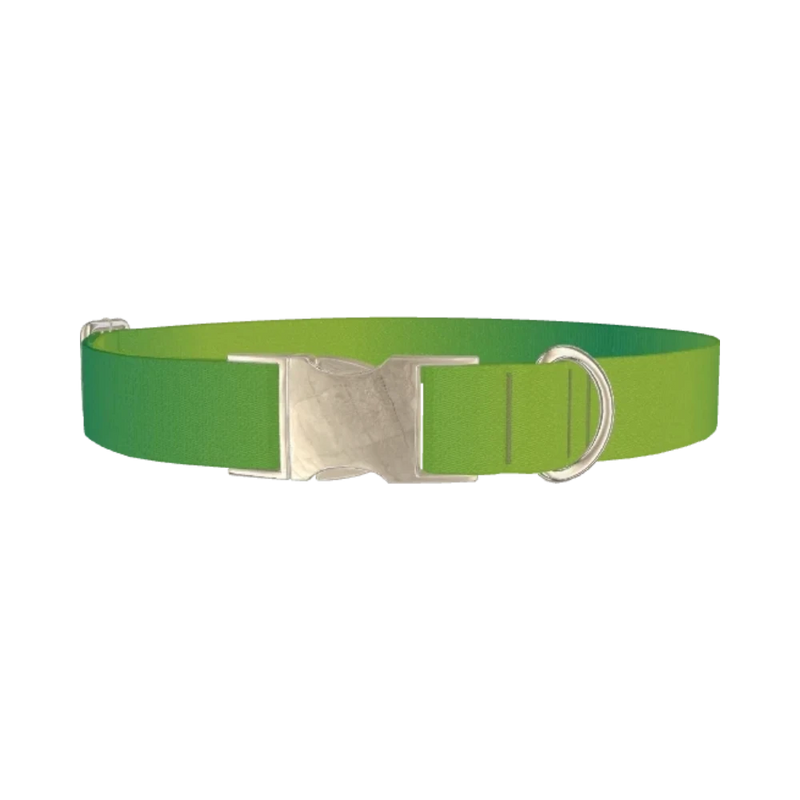 Green Gradient Dog Collar - metal silver