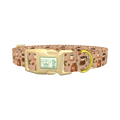Coffee Berry Dog Collar - plastic gold