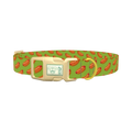 Hot Dog Pattern Dog Collar - plastic gold