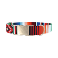 Mexican Stripe Pattern Dog Collar - metal silver
