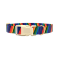 Geometric Rainbow Dog Collar - plastic silver