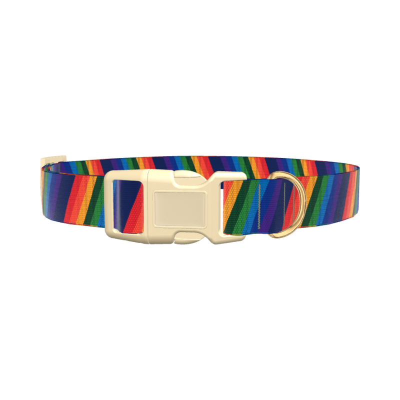 Geometric Rainbow Dog Collar - plastic silver