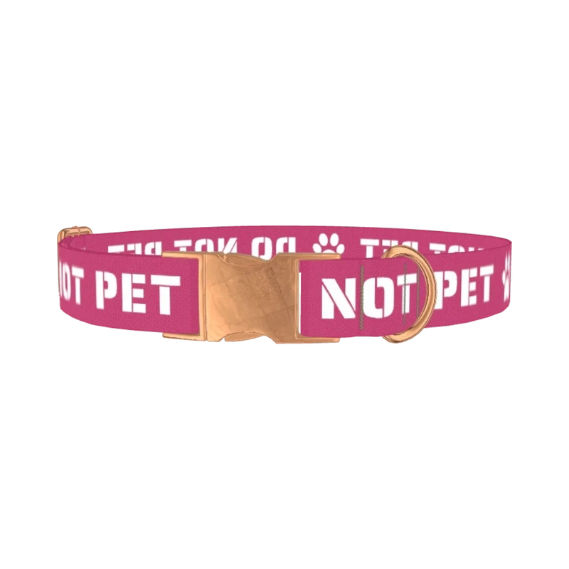 Do Not Pet Dog Collar - metal rose gold