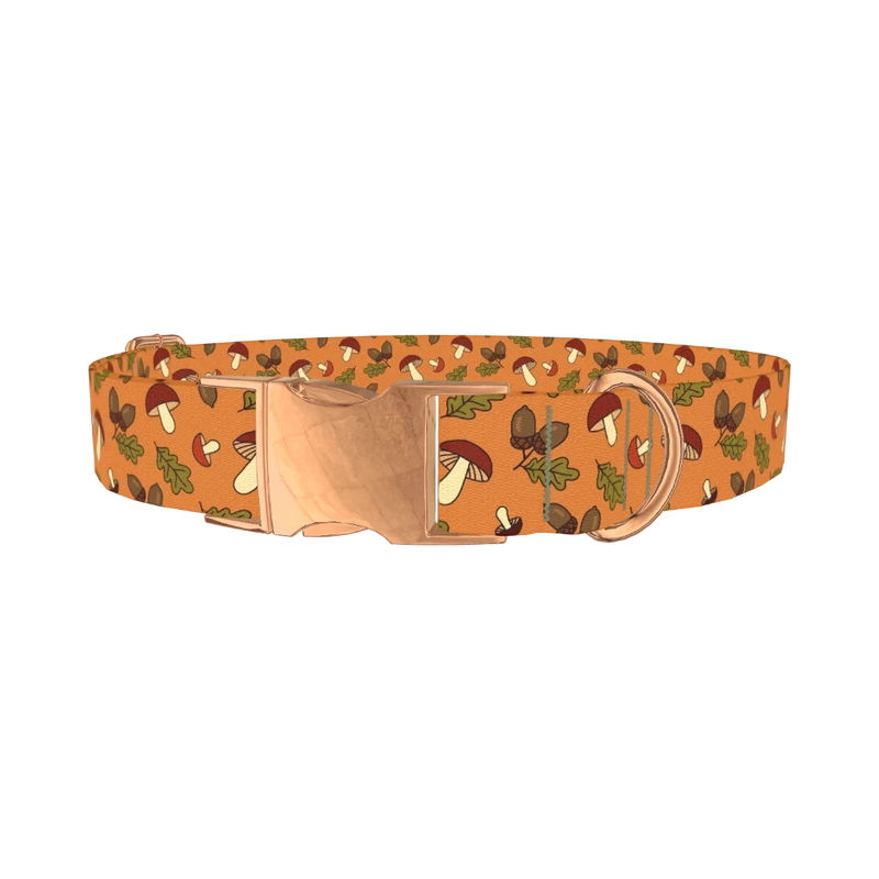 Fall Acorn Mushroom Dog Collar - metal rose gold