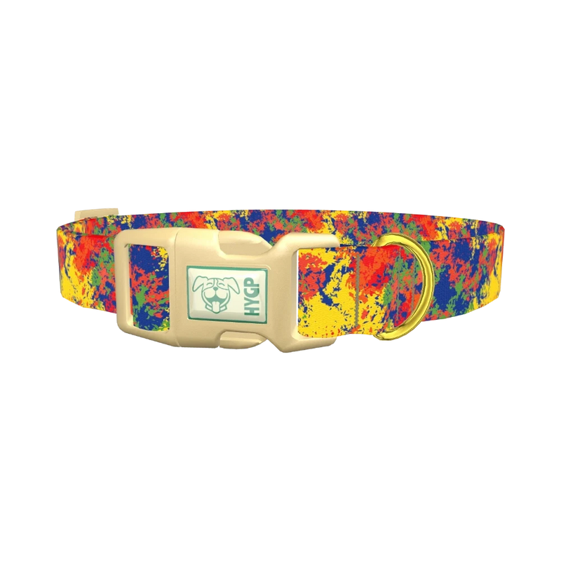 Colorful Paint Splatter Dog Collar - plastic gold