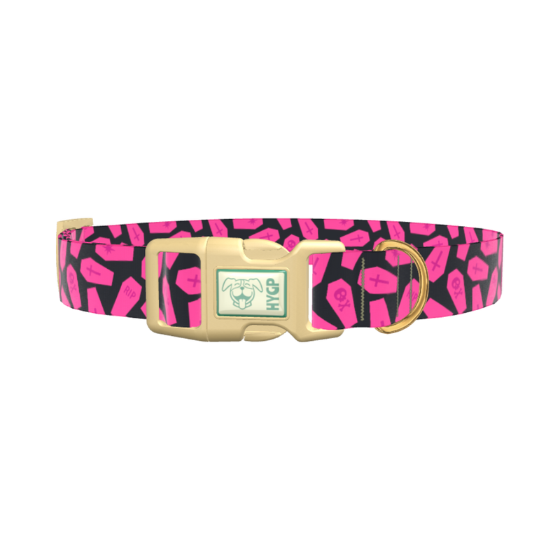 Halloween Coffin Dog Collar - plastic silver