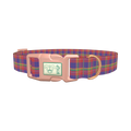 Multicolor Plaid Dog Collar - plastic rose gold