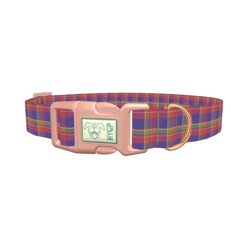 Multicolor Plaid Dog Collar - plastic rose gold