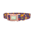 Taco Fiesta Dog Collar - plastic rose gold