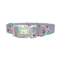Cherry Blossom Dog Collar - plastic silver