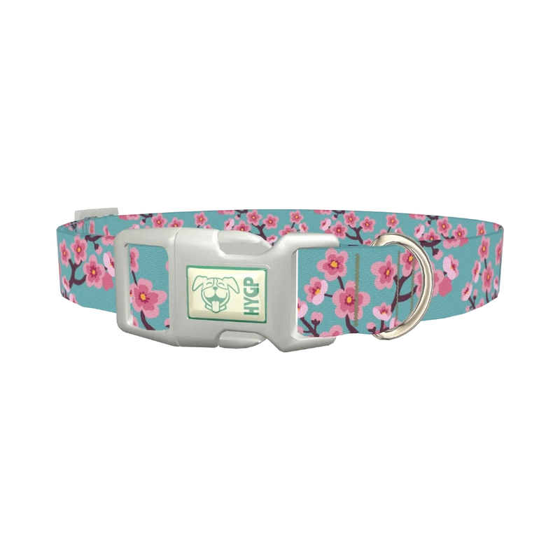 Cherry Blossom Dog Collar - plastic silver