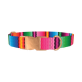 Wavy Rainbow Stripe Dog Collar - metal rose gold