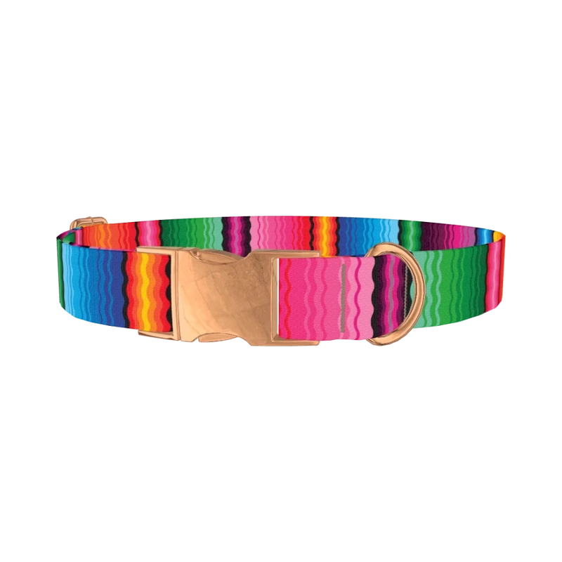 Wavy Rainbow Stripe Dog Collar - metal rose gold