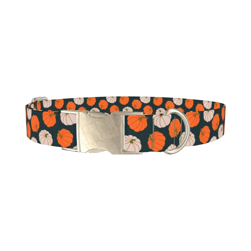 Pumpkin Patch Dog Collar - metal silver
