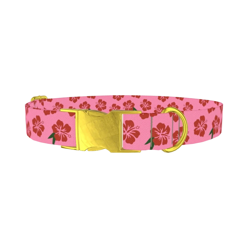 Pink Hibiscus Floral Dog Collar - metal gold