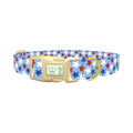 Blue Patriotic Stars Dog Collar - plastic gold