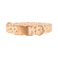 Southwestern Desert Dog Collar - metal rose gold