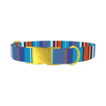 Orange Blue Stripes Dog Collar - metal gold