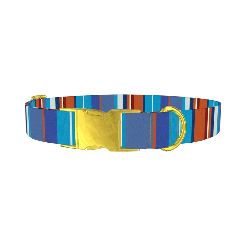 Orange Blue Stripes Dog Collar - metal gold