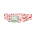 Valentine Heart Bike Dog Collar - plastic silver