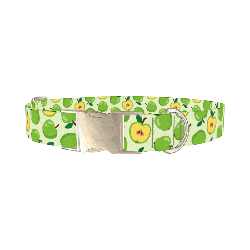 Green Apple Dog Collar - metal silver