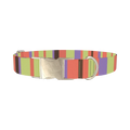 Green Striped Dog Collar - metal silver