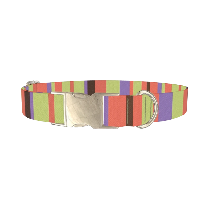 Green Striped Dog Collar - metal silver