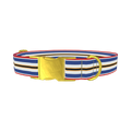 Patriotic Stripe Dog Collar - metal gold