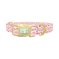 Valentine's Heart Dog Collar - plastic gold