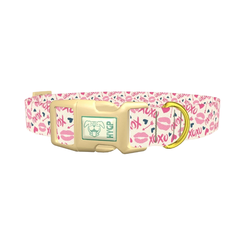 Valentine's Heart Dog Collar - plastic gold