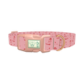 Western Boot Dog Collar - plastic rose gold