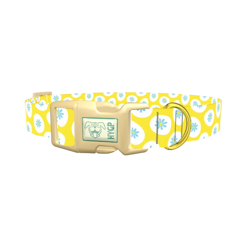 Easter Egg Floral Dog Collar - plastic gold