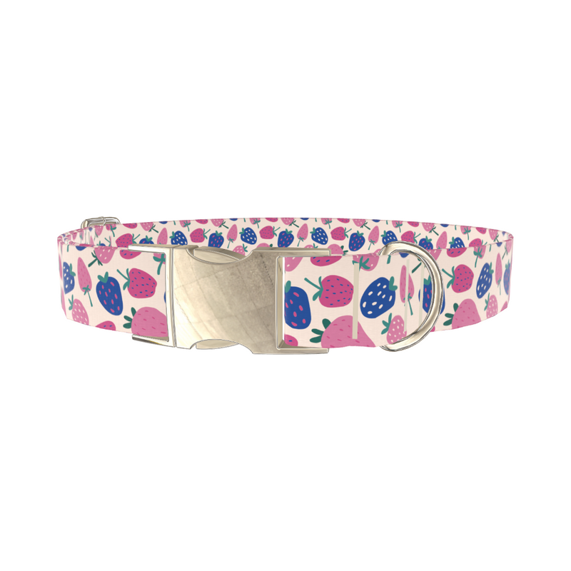 Fruit Strawberry Dog Collar