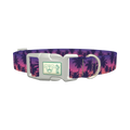 Tropical Sunset Dog Collar - plastic silver
