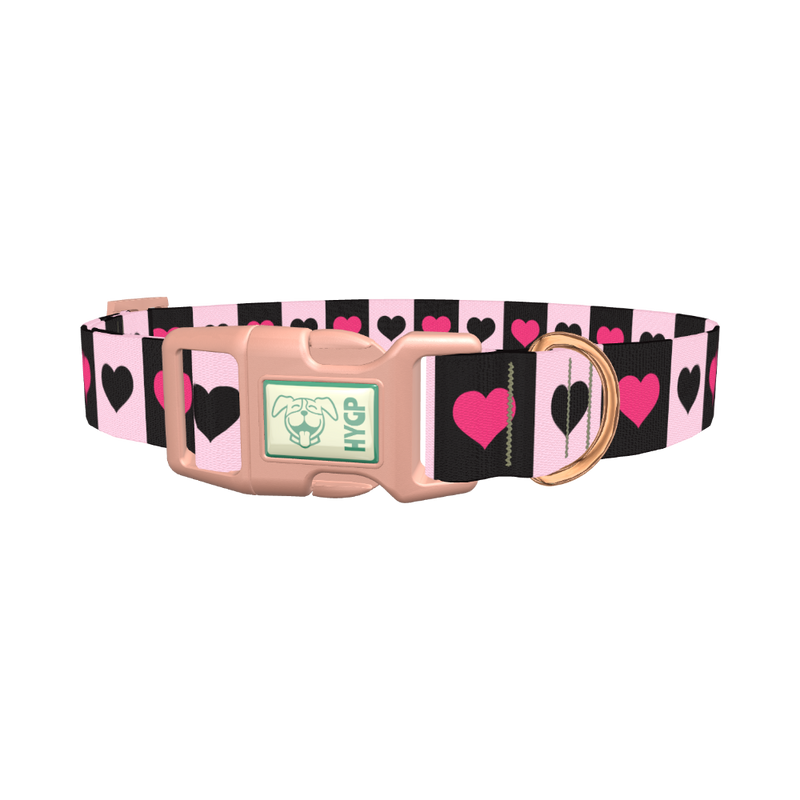 Valentine Heart Stripe Dog Collar - plastic rose gold