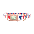 Patriotic Stars and Stripes Dog Collar - plastic rose gold