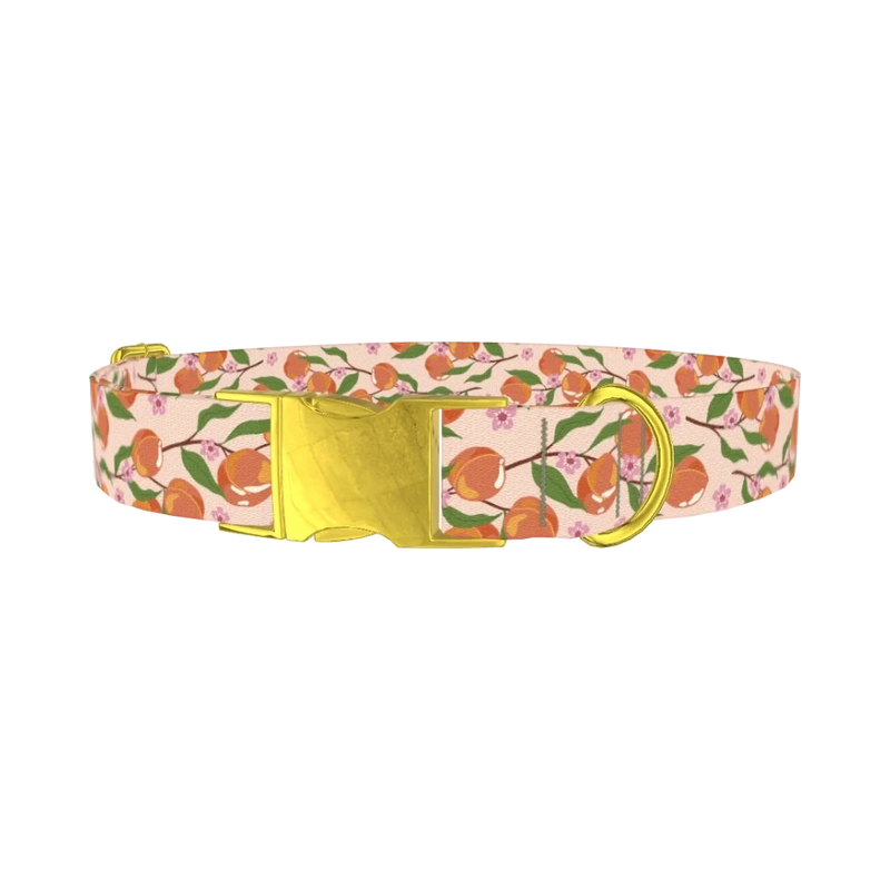 Peach Blossom Dog Collar - metal gold