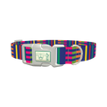 Colorful Dual Stripe Dog Collar - plastic silver