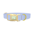  - plastic gold