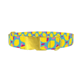 Lemon Fruit Dog Collar - metal gold