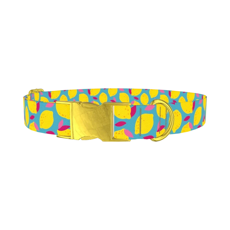 Lemon Fruit Dog Collar - metal gold