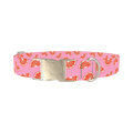Pink Grapefruit Dog Collar - metal silver